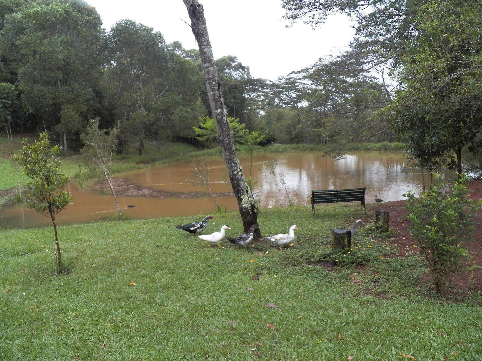 Lake Eacham Tourist Park & Cabins Exterior photo
